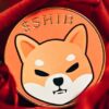 柴犬コイン イメージ